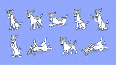 5 Simple Tricks to Teach Your Dog in Just One Week