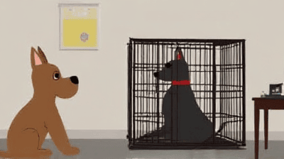 Crate Training Made Easy: A Step-by-Step Guide for New Pet Owners