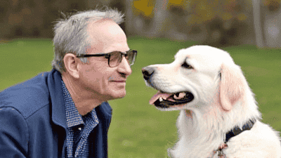 Family-Friendly Pet Training Tips: Ensuring Everyone Feels Included