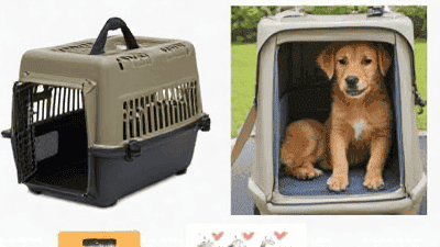 Must-Have Travel Gear for Pet Parents: From Carriers to Safety Kits