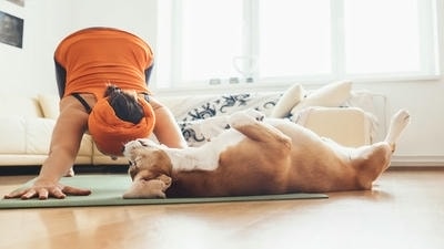 Pet Yoga: The Benefits of Practicing Pawsitive Energy with Your Furry Friend