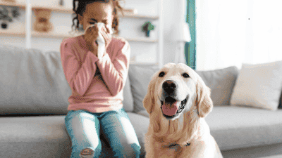 Pets and Allergies: How to Manage Symptoms While Keeping Your Family Happy